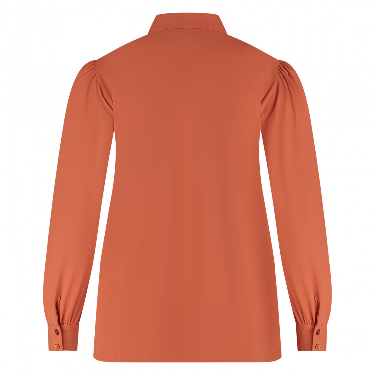 Shirt Puffed | Ginger